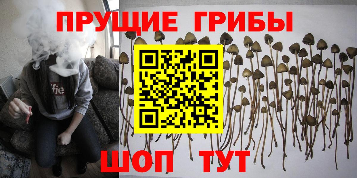 Галлюциногенные грибы Psilocybine cubensis  Галлюциногенные грибы ЛСД  Новотроицк  Вход с VPN 