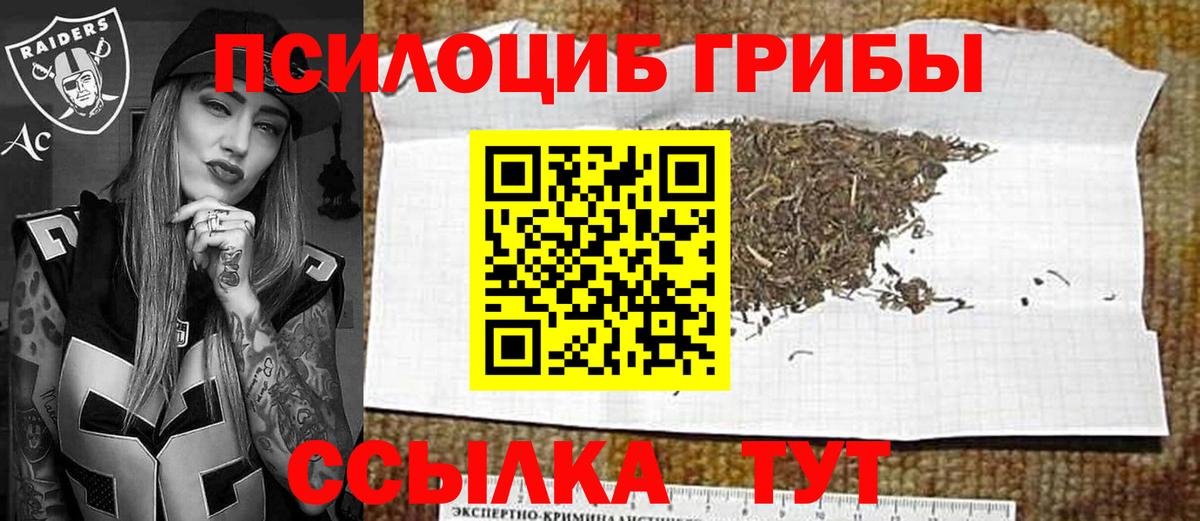 Галлюциногенные грибы Magic Shrooms Новотроицк